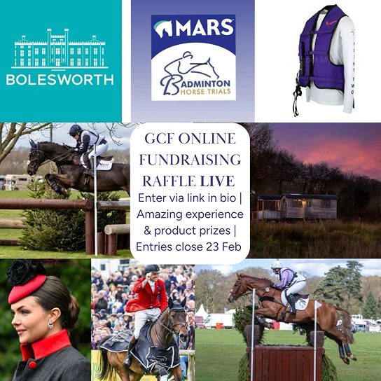 Raffle images